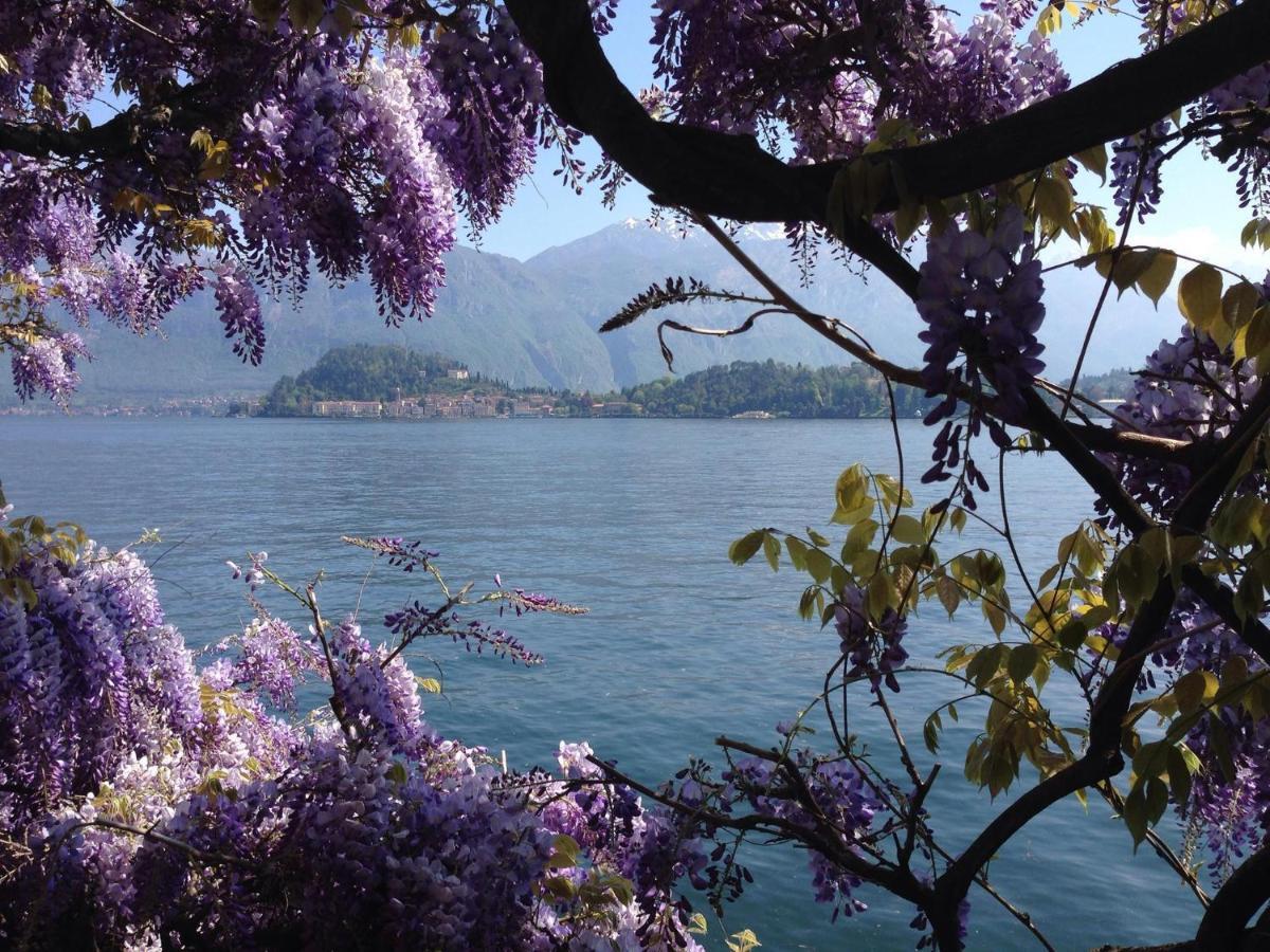 Rosa Dei Venti - Aparment In The Heart Of Bellagio With Parking Apartment Room photo